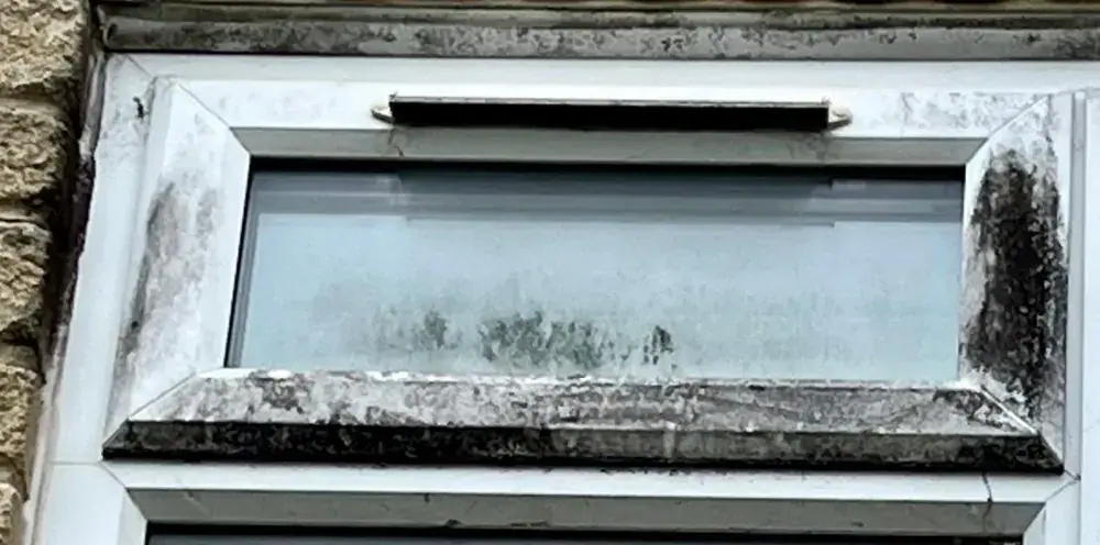 Window frames before