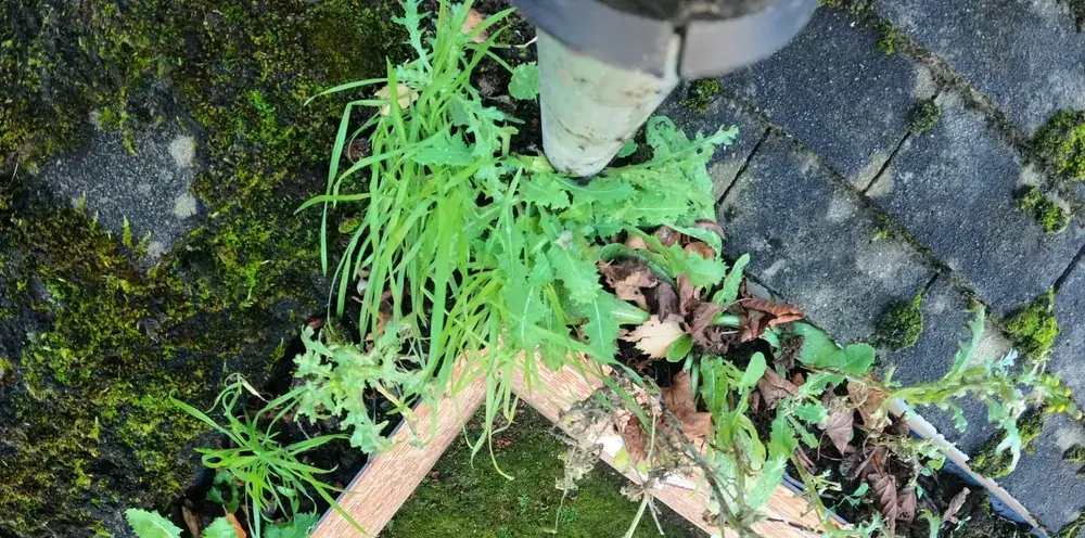 Blocked gutter before