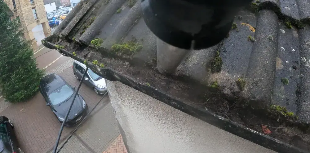 Gutter full of weeds after