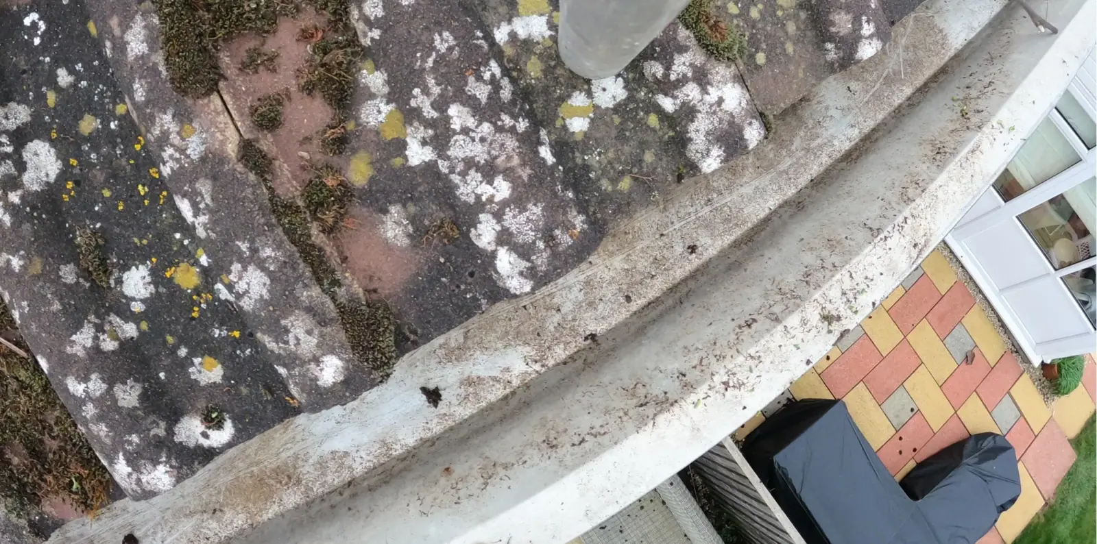 Overgrown gutter after