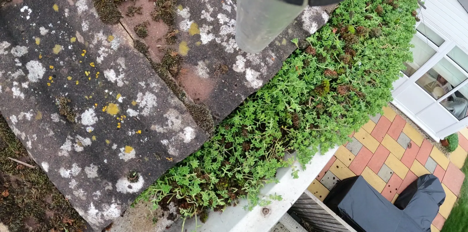 Overgrown gutter before