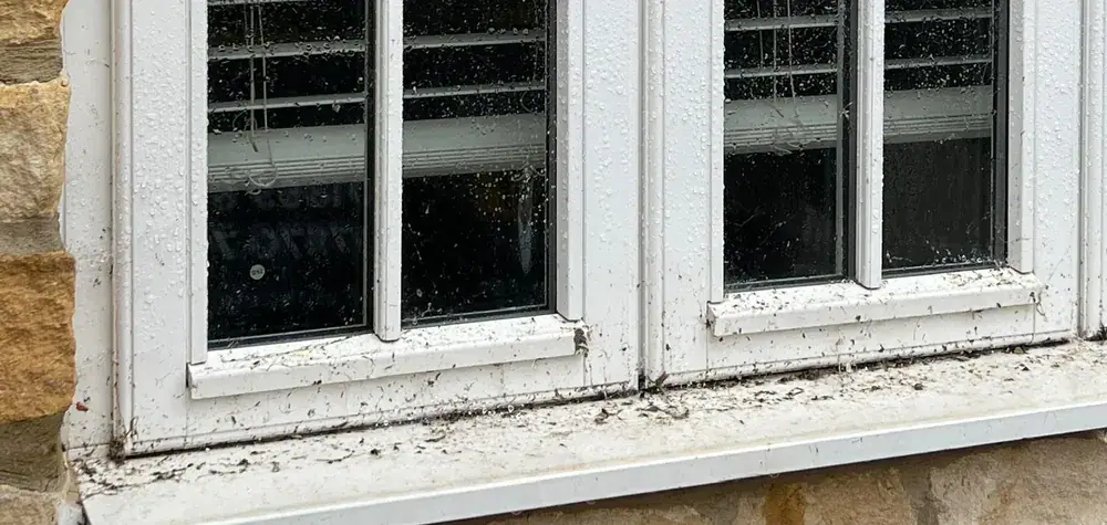 Windows & sills before